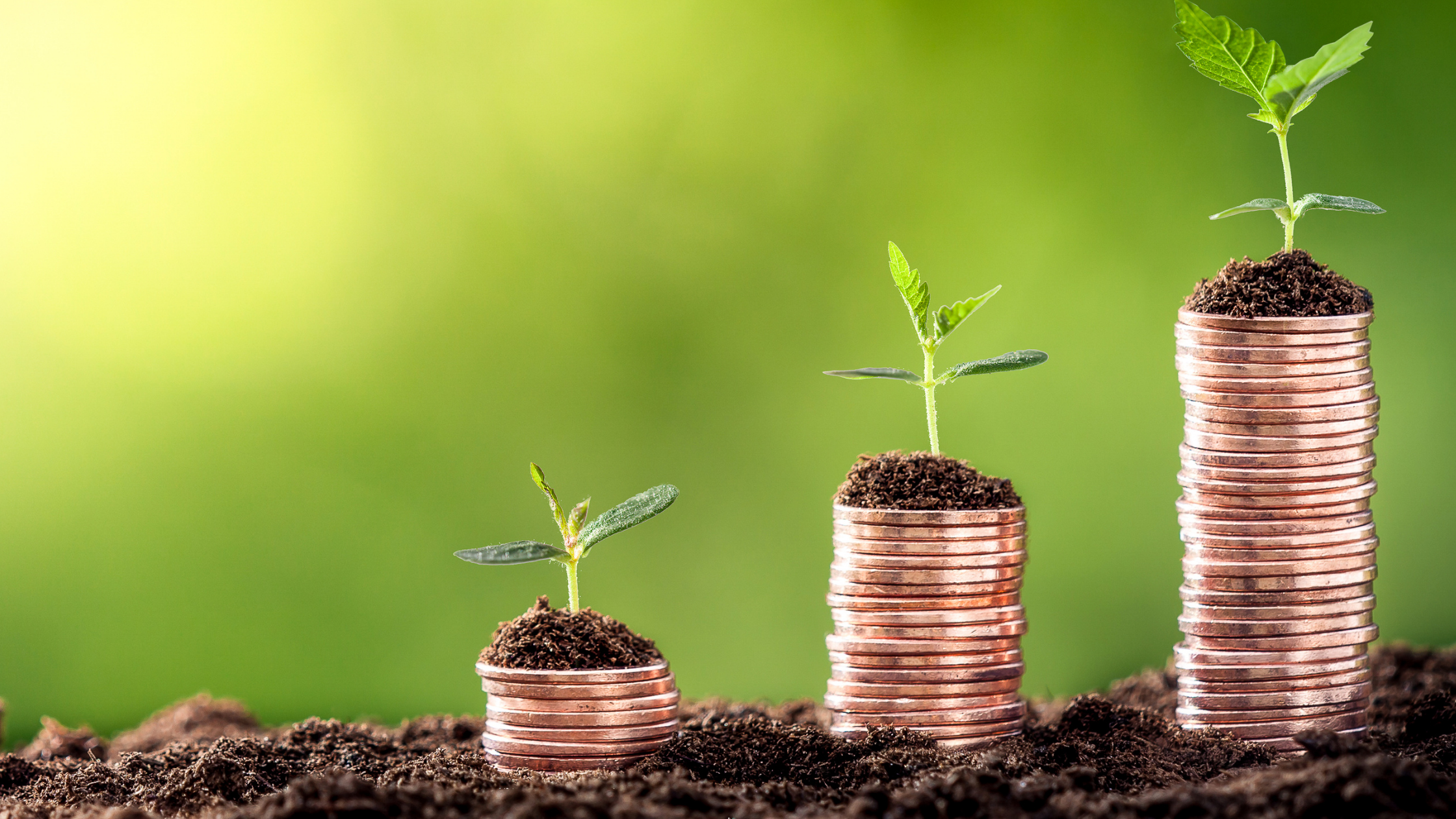 Growing your money
