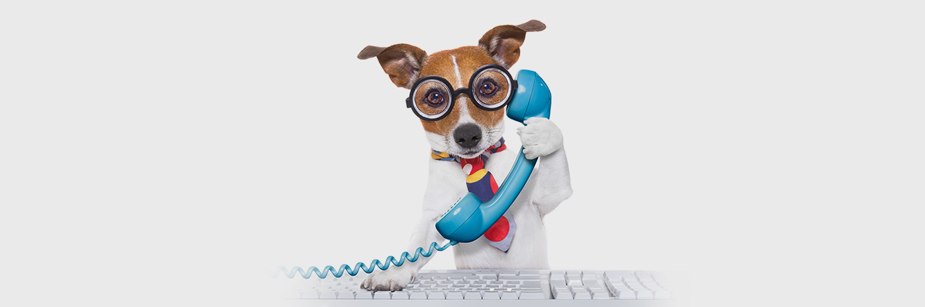 dog-sales-call-new copy